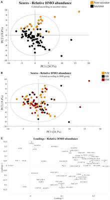 Human milk oligosaccharide profiles remain unaffected by maternal pre-pregnancy body mass index in an observational study